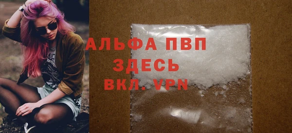 ПСИЛОЦИБИНОВЫЕ ГРИБЫ Касимов