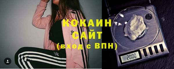 ПСИЛОЦИБИНОВЫЕ ГРИБЫ Касимов
