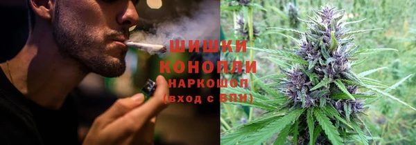 ПСИЛОЦИБИНОВЫЕ ГРИБЫ Касимов