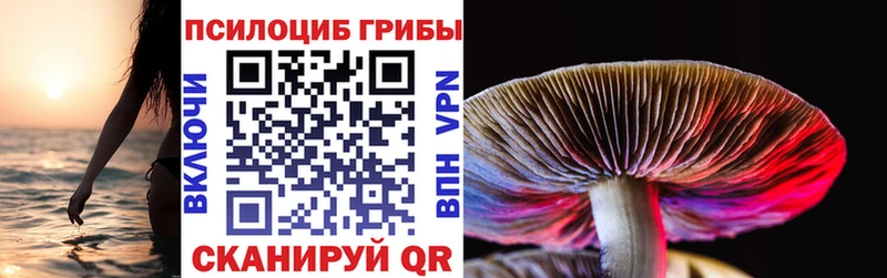 Купить где  Всеволожск  Псилоцибиновые грибы GOLDEN TEACHER 